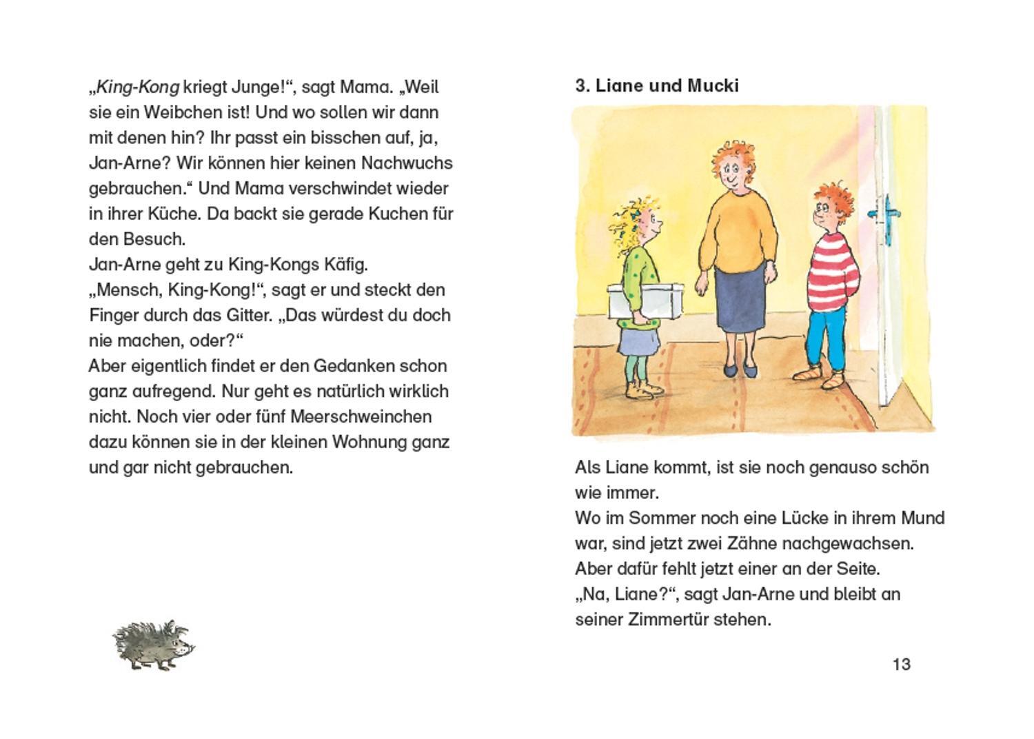 Bild: 9783751203401 | King-Kong, das Liebesschwein | Lesestarter. 3. Lesestufe | Boie | Buch