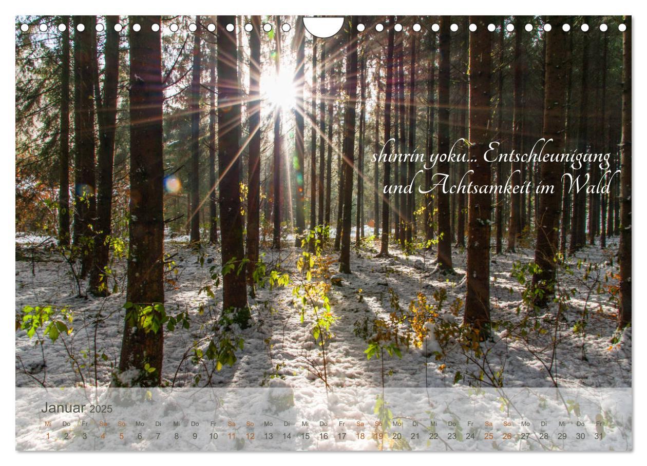 Bild: 9783435302376 | Shinrin yoku - Waldbaden 2025 (Wandkalender 2025 DIN A4 quer),...