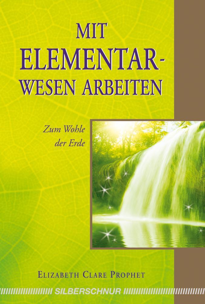 Cover: 9783898452878 | Mit Elementarwesen arbeiten | Zum Wohle der Erde | Taschenbuch | 2010