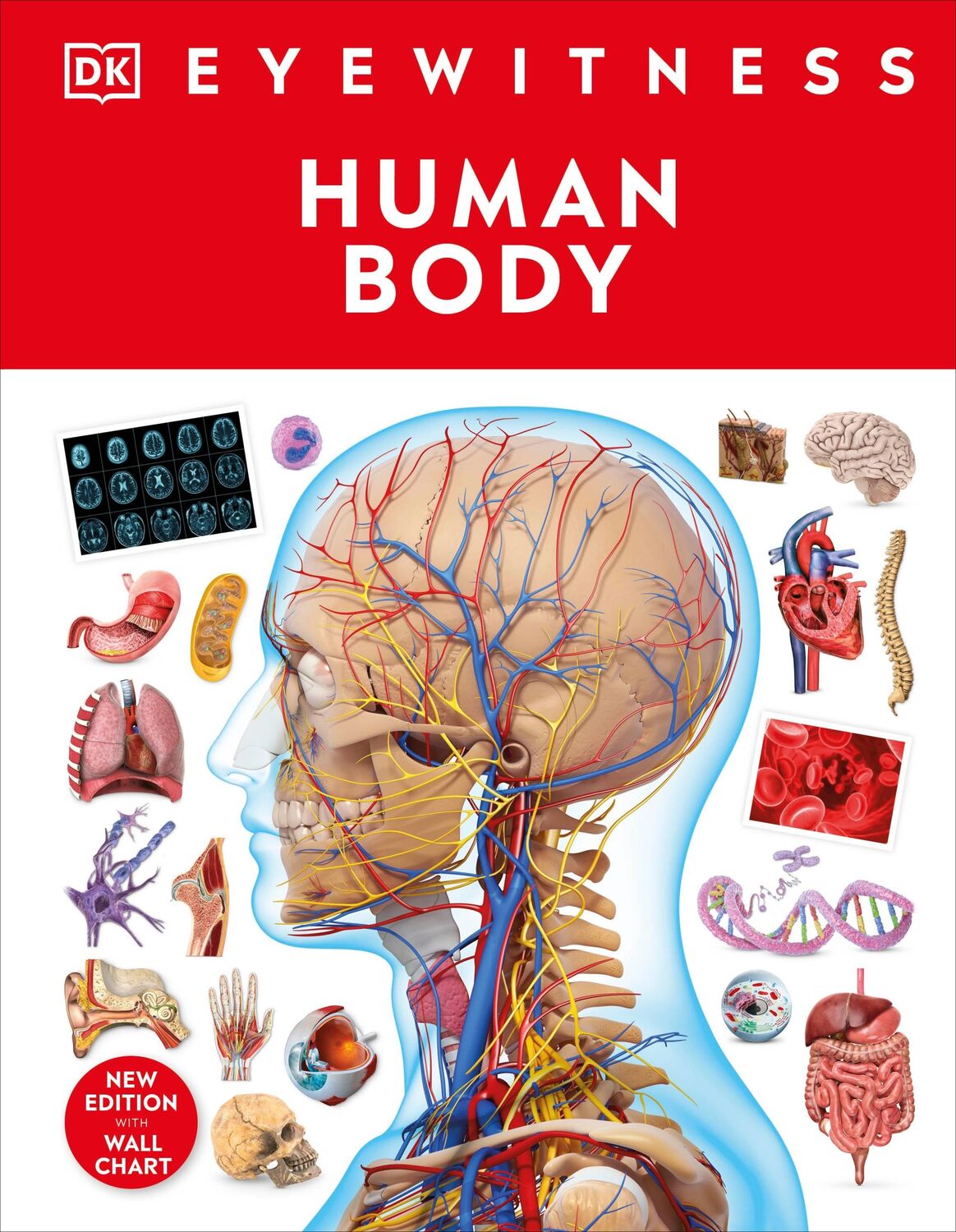 Cover: 9780241617175 | Human Body | Dk | Buch | Gebunden | Englisch | 2023