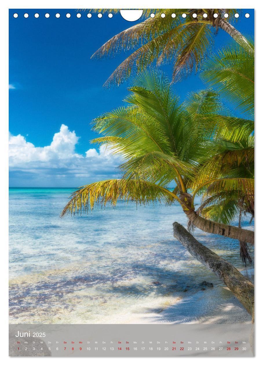 Bild: 9783435916689 | Karibischer Traum Isla Saona (Wandkalender 2025 DIN A4 hoch),...