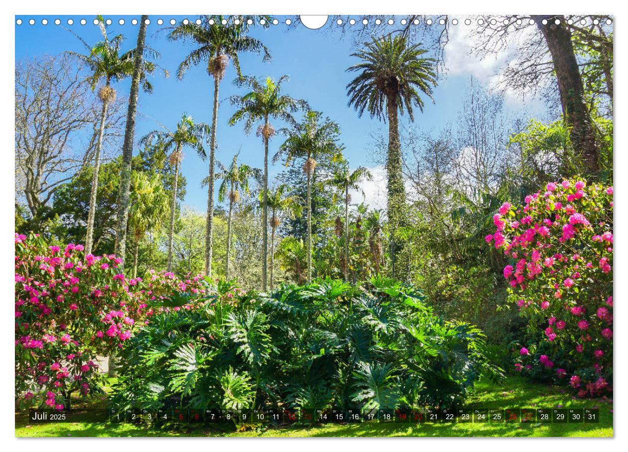 Bild: 9783435375325 | Terra Nostra Garten - ein botanisches Juwel auf den Azoren...