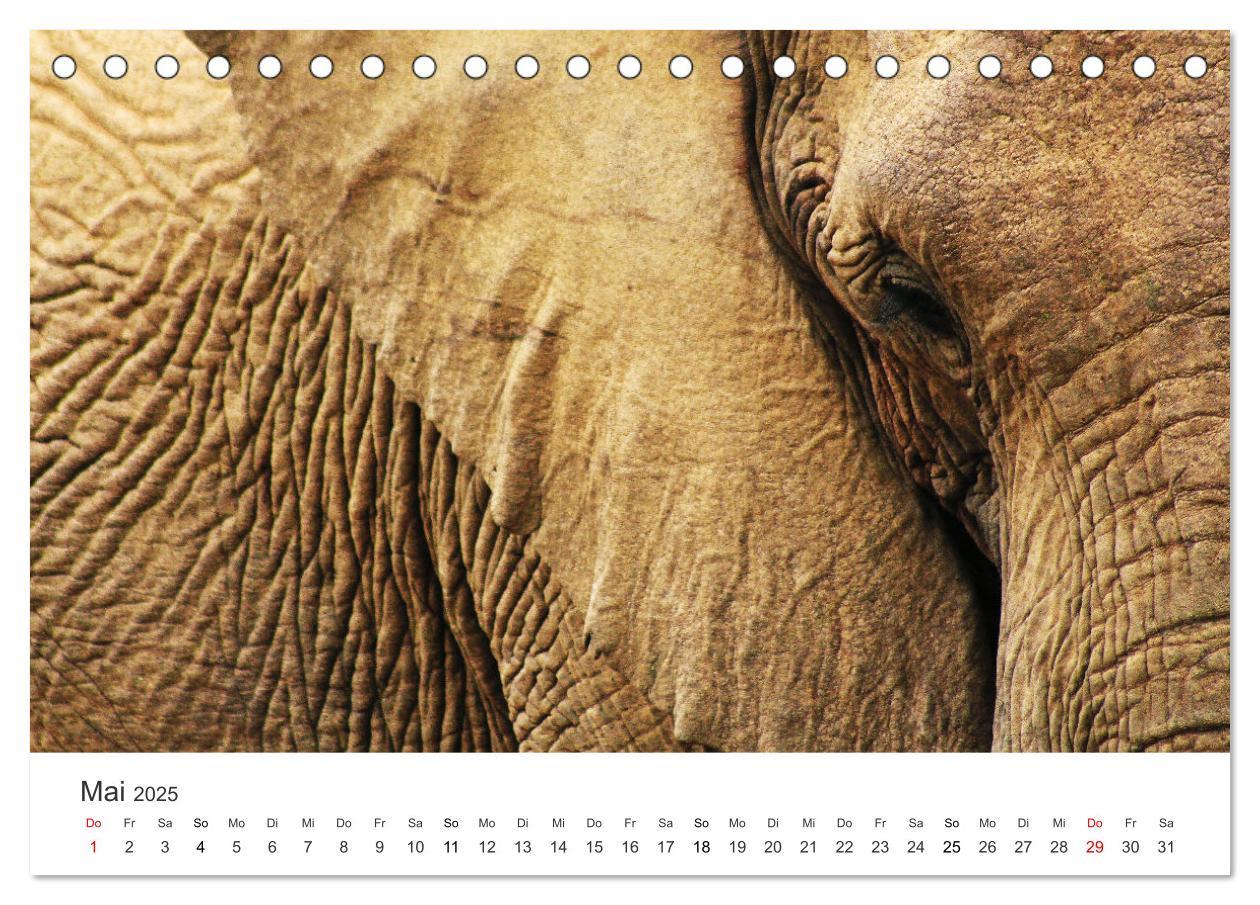 Bild: 9783435057191 | Bezauberndes Südafrika (Tischkalender 2025 DIN A5 quer), CALVENDO...