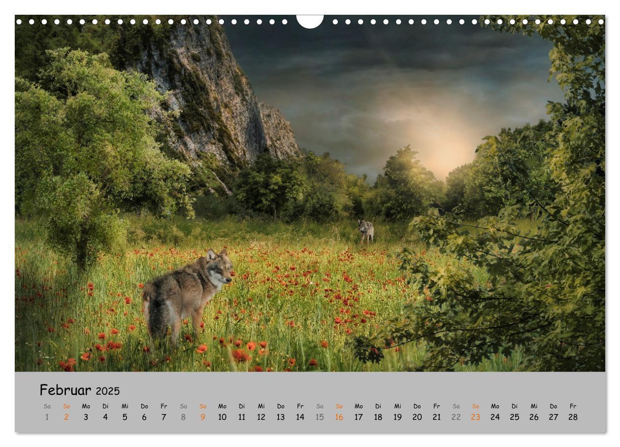 Bild: 9783435079797 | Der lange Weg der Wölfe (Wandkalender 2025 DIN A3 quer), CALVENDO...