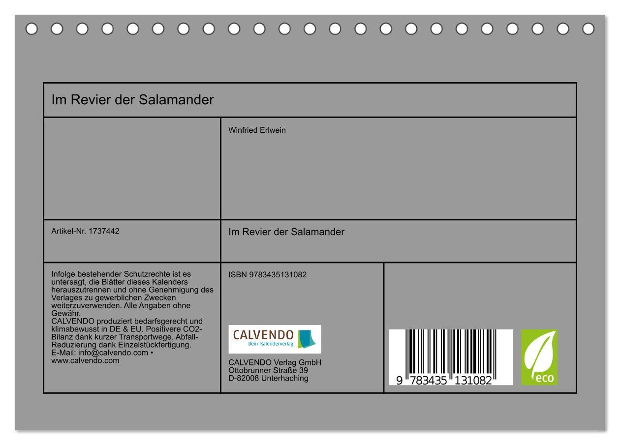 Bild: 9783435131082 | Im Revier der Salamander (Tischkalender 2025 DIN A5 quer), CALVENDO...