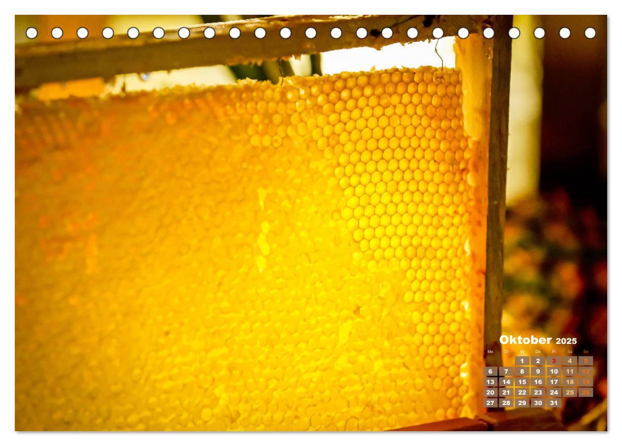 Bild: 9783435124435 | Ein Leben für den Honig - Bienen und Imker (Tischkalender 2025 DIN...