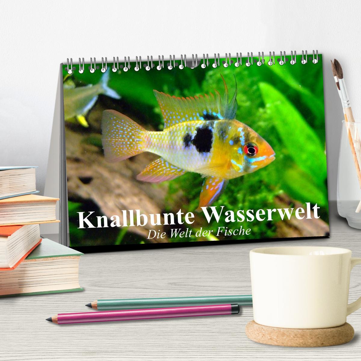 Bild: 9783435589456 | Knallbunte Wasserwelt. Die Welt der Fische (Tischkalender 2025 DIN...