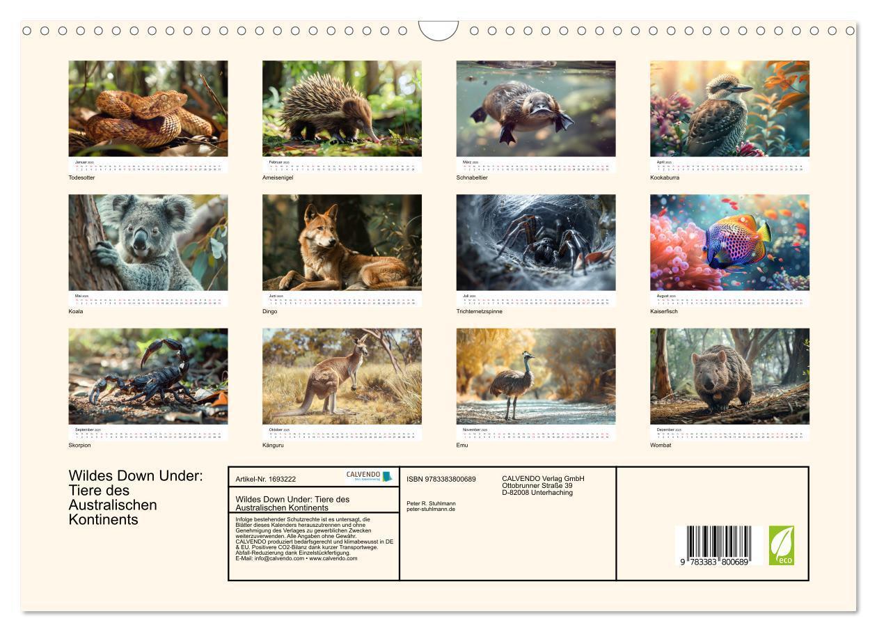 Bild: 9783383800689 | Wildes Down Under: Tiere des Australischen Kontinents (Wandkalender...