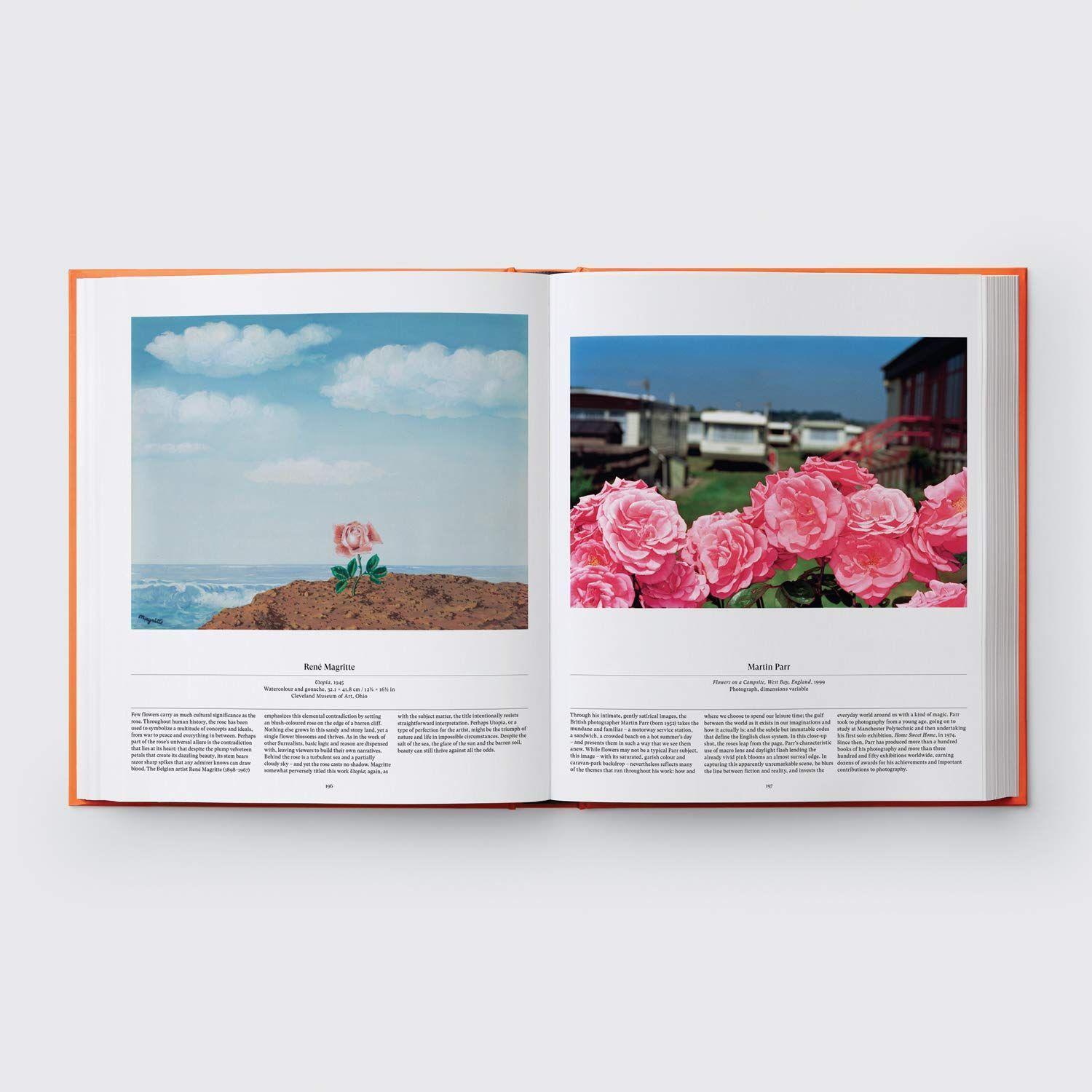 Bild: 9781838660857 | Flower: Exploring the World in Bloom | Editors Phaidon | Buch | 352 S.