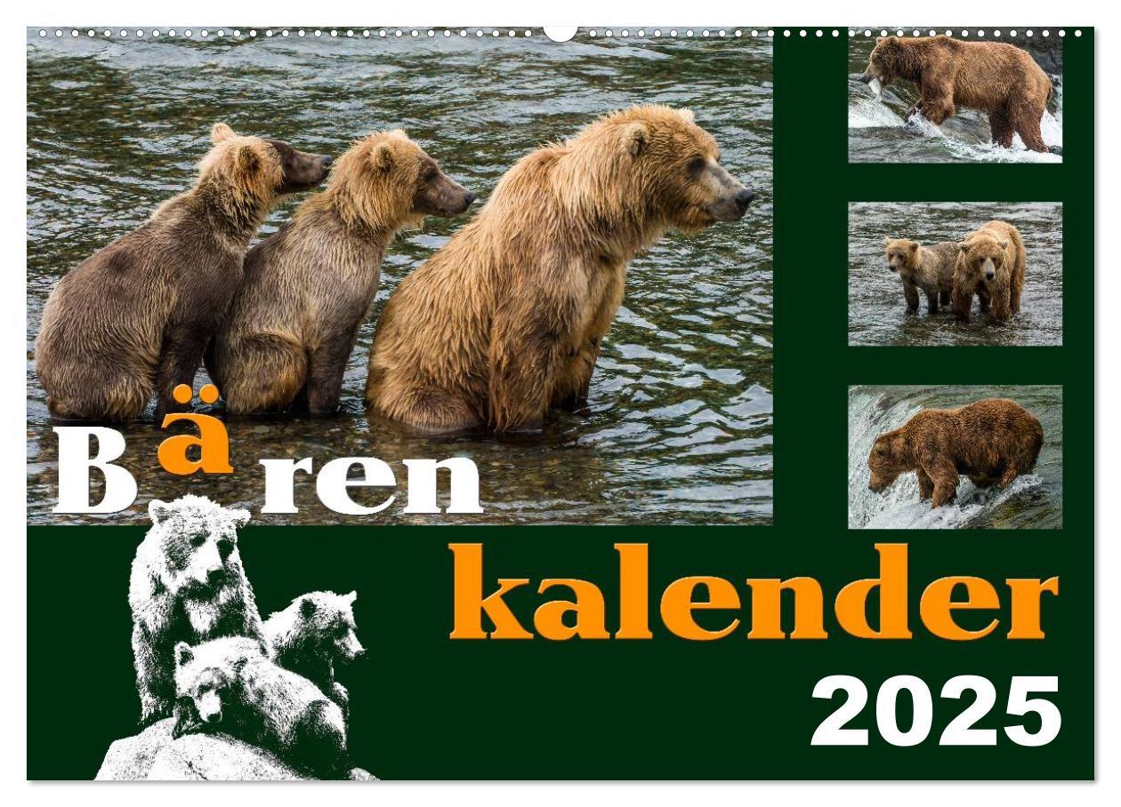 Cover: 9783435709519 | Bärenkalender (Wandkalender 2025 DIN A2 quer), CALVENDO Monatskalender