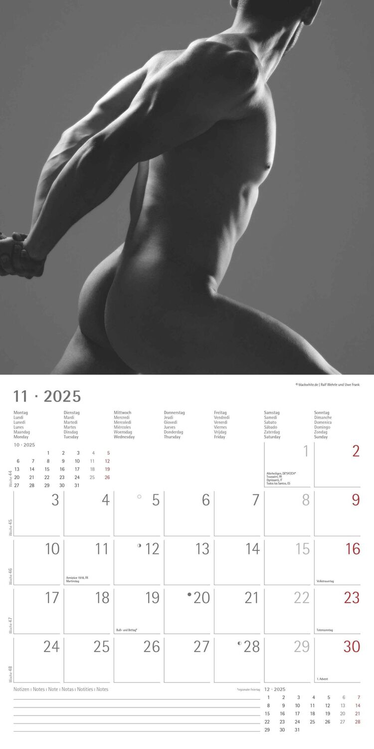 Bild: 4251732343095 | Masculine 2025 - Broschürenkalender 30x30 cm (30x60 geöffnet) -...