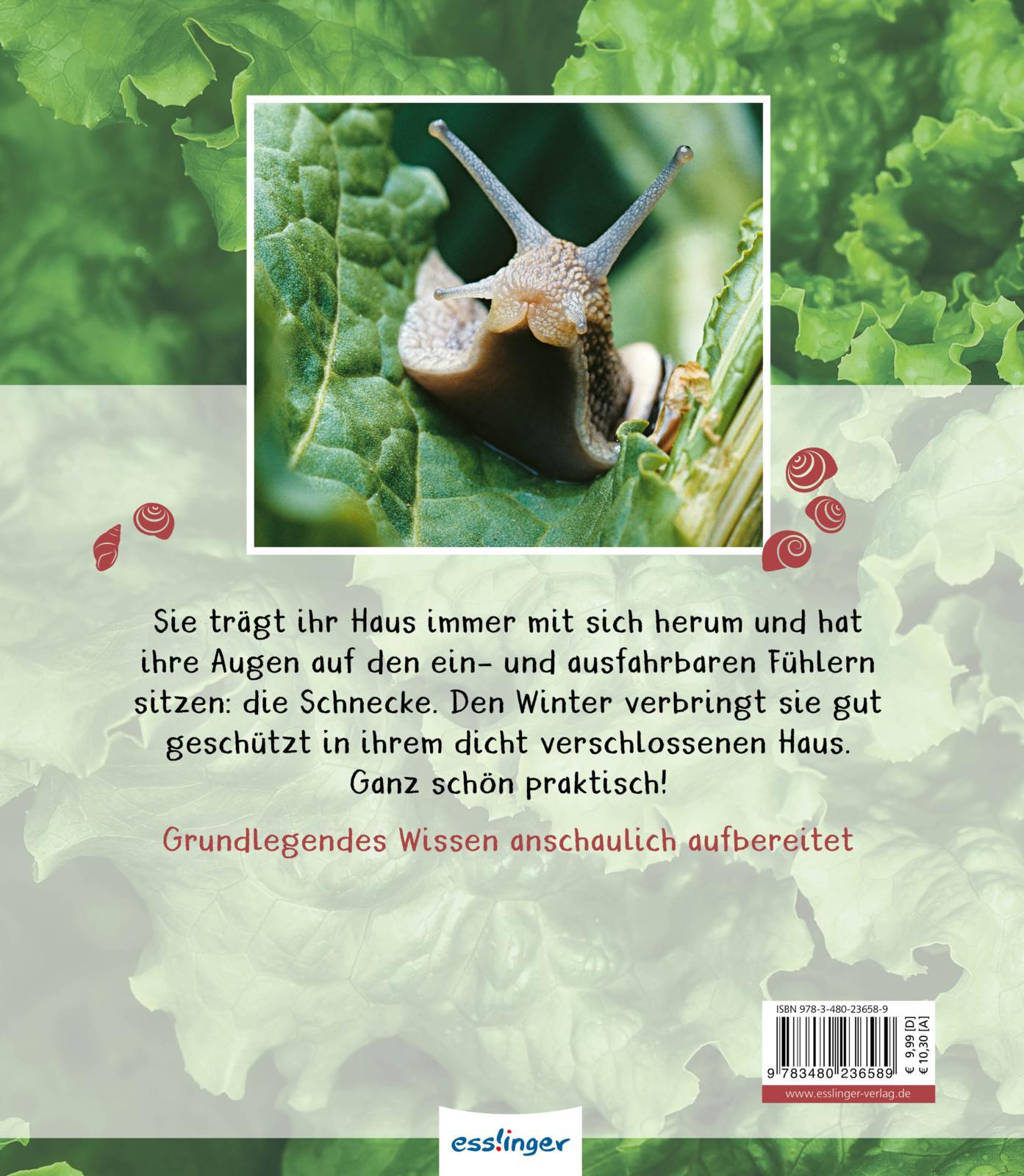 Rückseite: 9783480236589 | Meine große Tierbibliothek: Die Schnecke | Paul Starosta | Buch | 2020