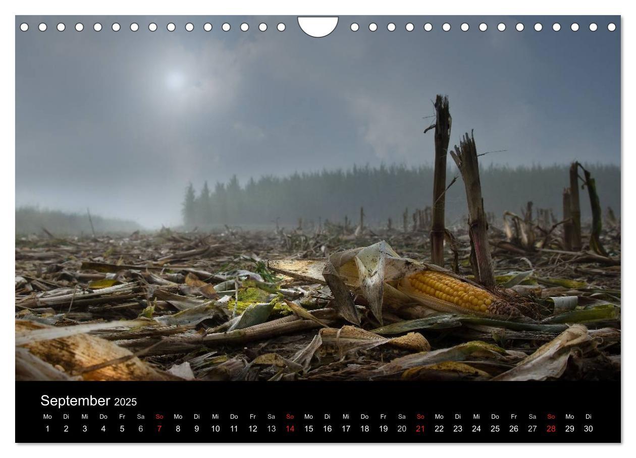 Bild: 9783435835317 | Märchenkulissen - Landschaften der Oberpfalz (Wandkalender 2025 DIN...