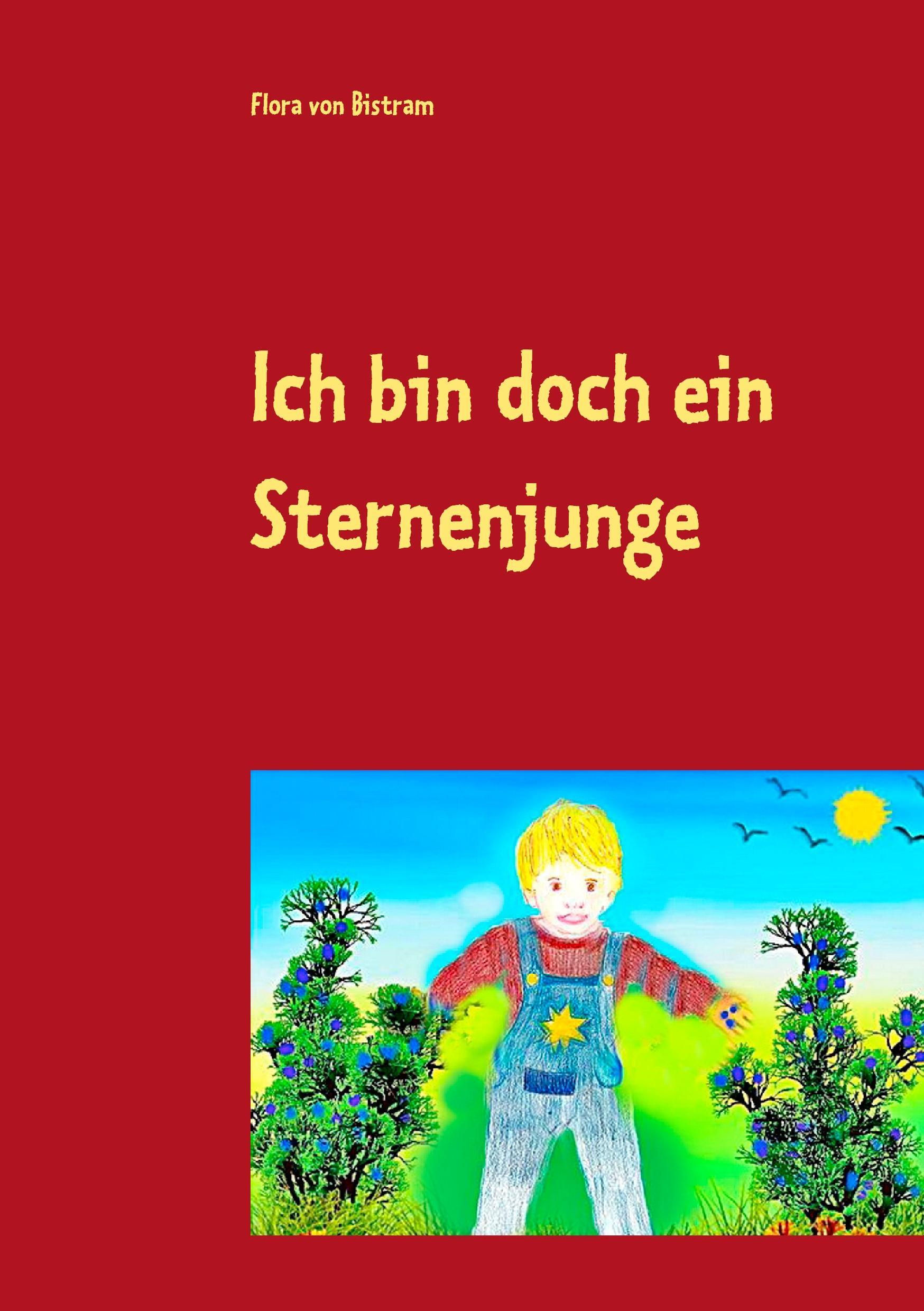 Cover: 9783741283260 | Ich bin doch ein Sternenjunge | Geschichten zum Vorlesen | Bistram