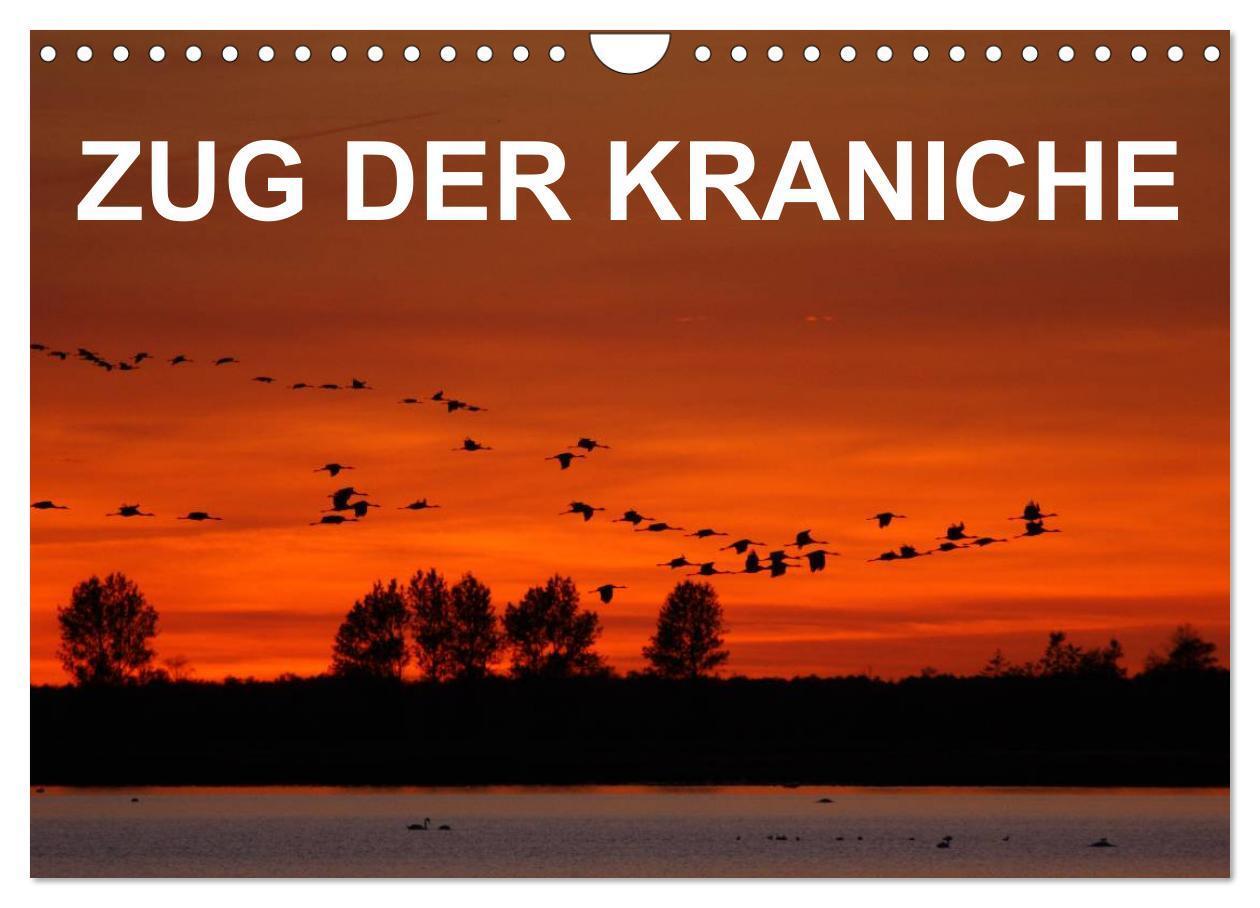 Cover: 9783435612314 | Zug der Kraniche (Wandkalender 2025 DIN A4 quer), CALVENDO...