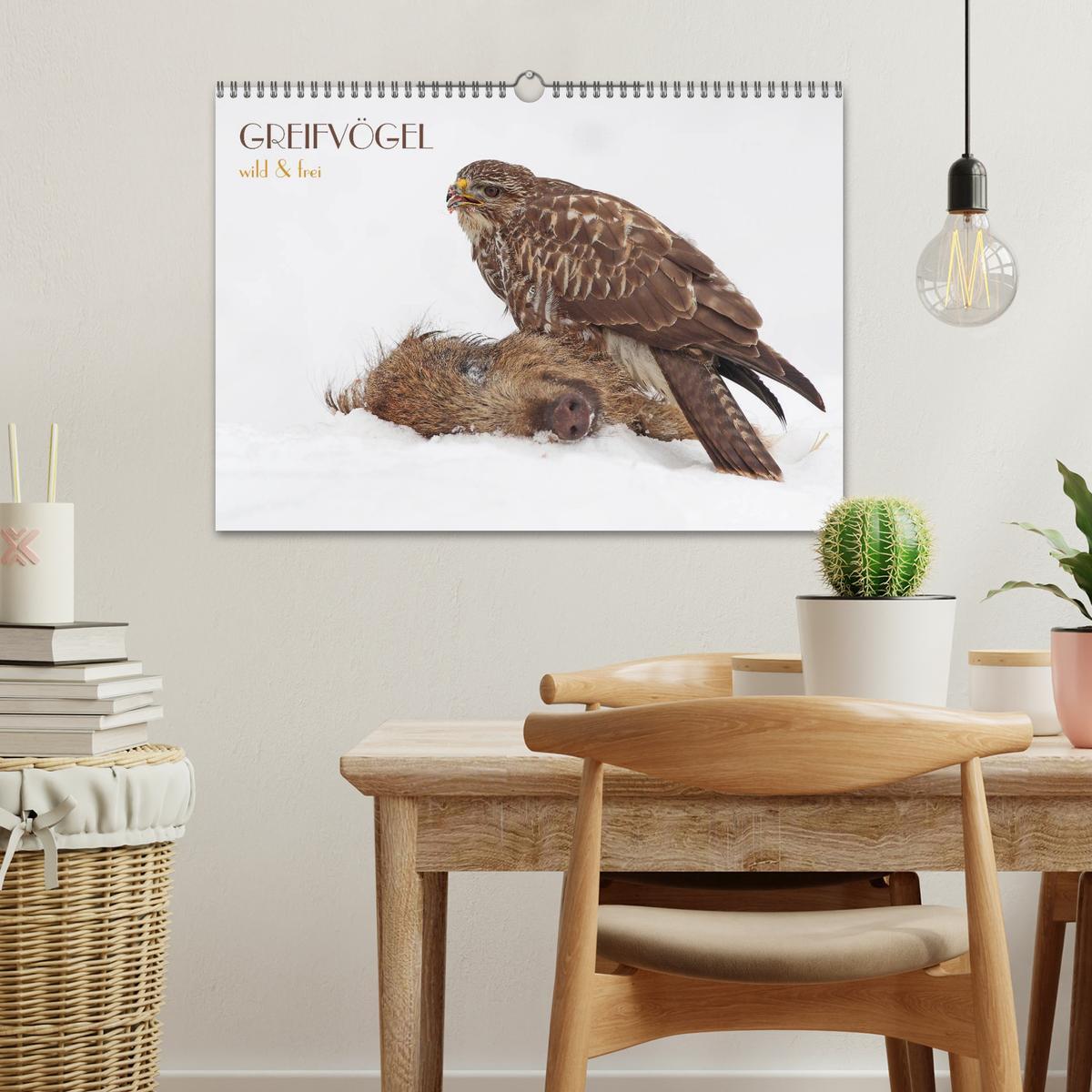 Bild: 9783435821457 | GREIFVÖGEL wild &amp; frei (Wandkalender 2025 DIN A3 quer), CALVENDO...