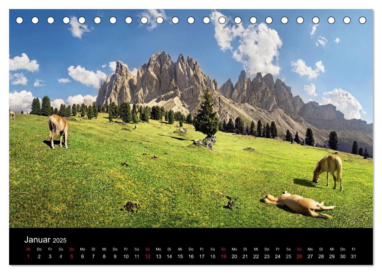 Bild: 9783435555376 | Wunderschöne Haflingerwelt (Tischkalender 2025 DIN A5 quer),...