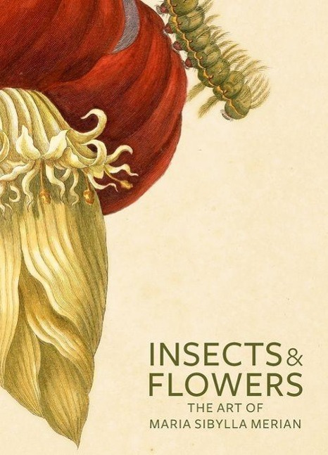 Cover: 9780892369294 | Insects and Flowers | The Art of Maria Sibylla Merian | Taschenbuch