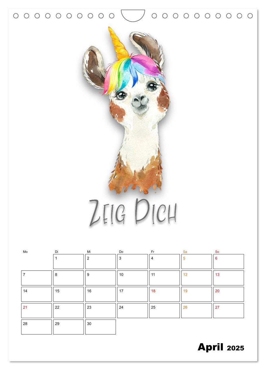 Bild: 9783435904150 | Bleib cool - Gute-Laune-Kalender (Wandkalender 2025 DIN A4 hoch),...