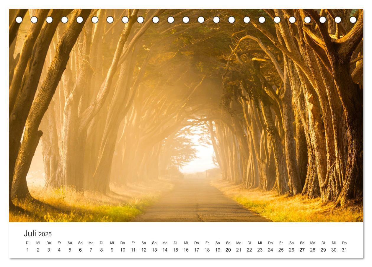 Bild: 9783383956669 | Weisheit - Der Weg ist das Ziel (Tischkalender 2025 DIN A5 quer),...