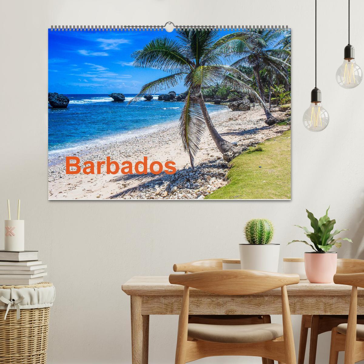 Bild: 9783435453788 | Barbados (Wandkalender 2025 DIN A2 quer), CALVENDO Monatskalender