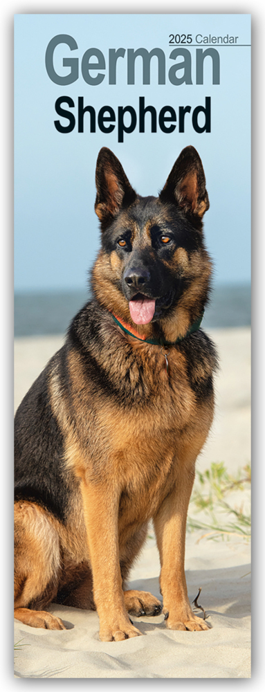 Cover: 9781804605073 | German Shepherds - Deutsche Schäferhunde 2025 | Avonside Publishing