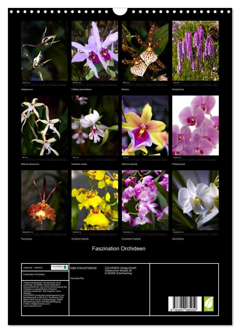 Bild: 9783457085059 | Faszination Orchideen (Wandkalender 2025 DIN A3 hoch), CALVENDO...