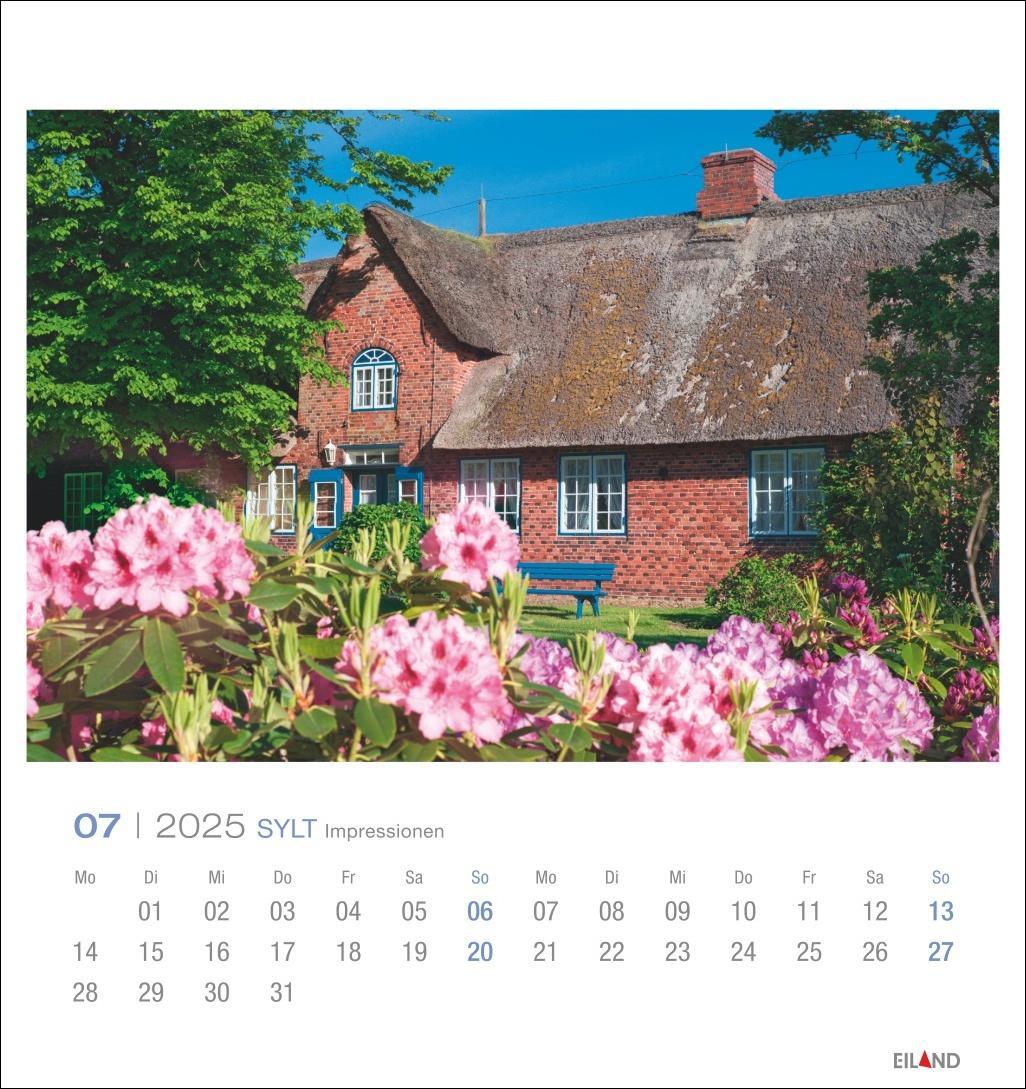 Bild: 9783964023353 | Sylt Impressionen Postkartenkalender 2025 | Hans Jessel | Kalender