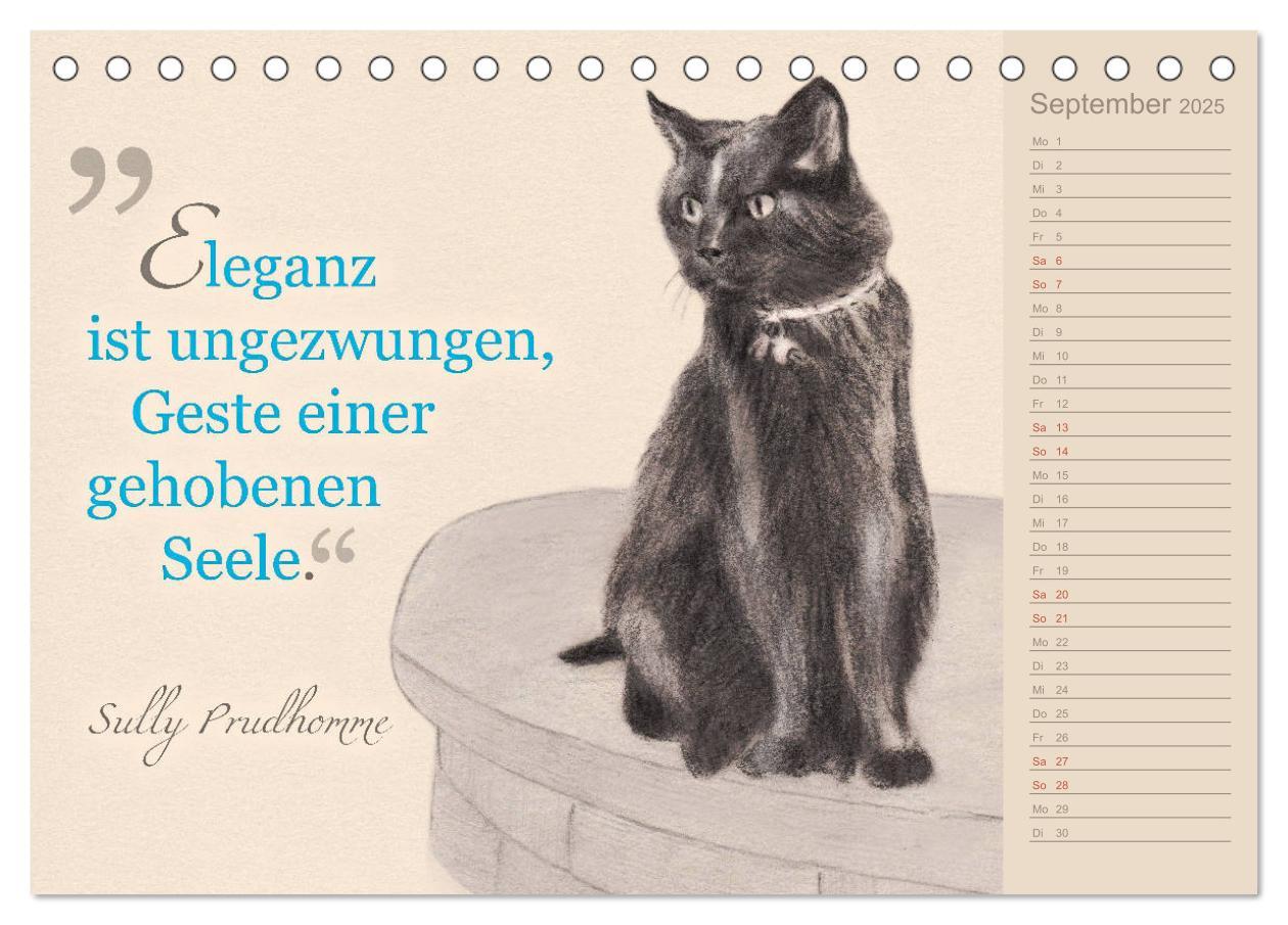 Bild: 9783435454396 | Von Katzen lernen (Tischkalender 2025 DIN A5 quer), CALVENDO...