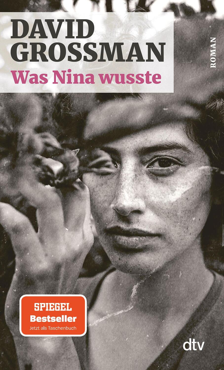 Cover: 9783423148276 | Was Nina wusste | Roman | David Grossman | Taschenbuch | 352 S. | 2022