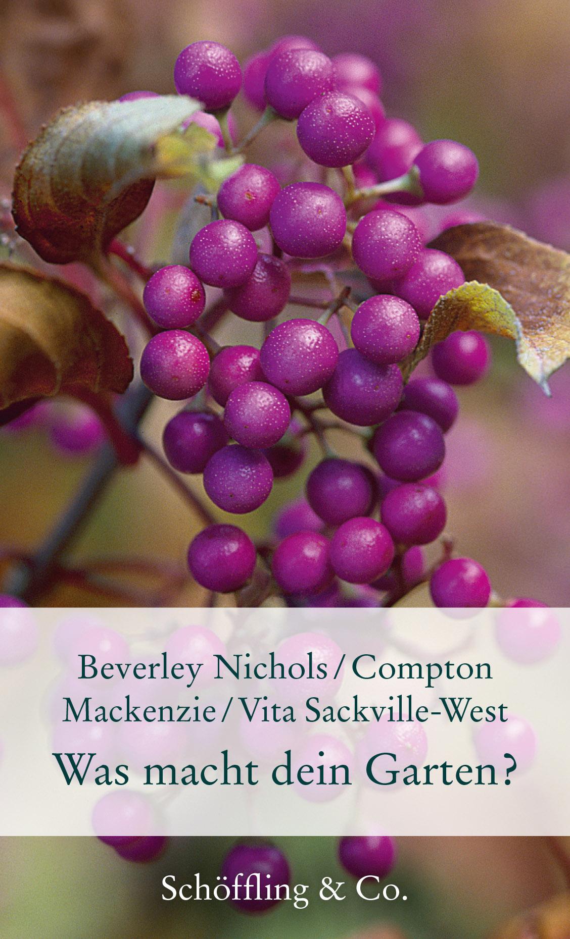 Cover: 9783895616594 | Was macht dein Garten? | Beverley Nichols (u. a.) | Buch | 160 S.