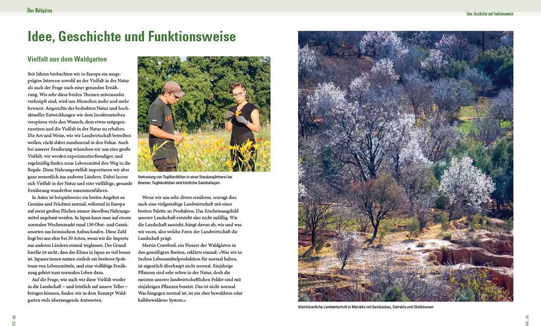 Bild: 9783258083896 | Praxisbuch Waldgarten | Natürlicher Anbau mit Permakultur | Buch