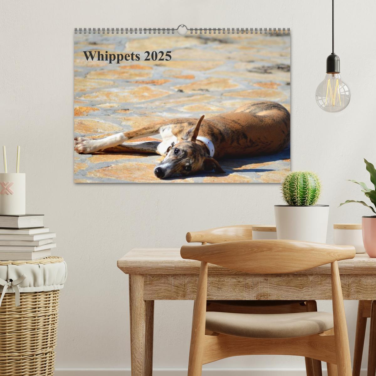 Bild: 9783435650798 | Whippet 2025 (Wandkalender 2025 DIN A3 quer), CALVENDO Monatskalender