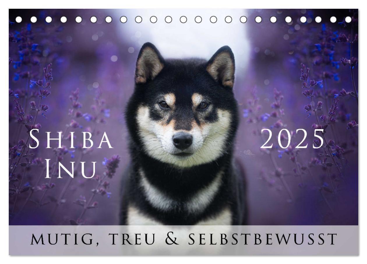 Cover: 9783457234181 | Shiba Inu - mutig, treu, selbstbewusst (Tischkalender 2025 DIN A5...