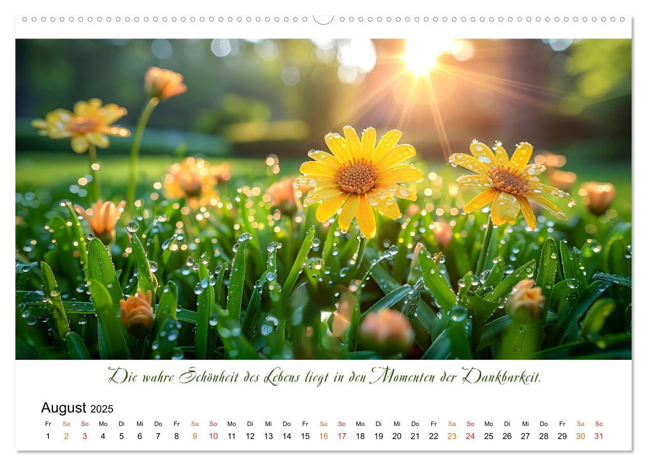 Bild: 9783383814648 | Freu Dich Motivations-Kalender (hochwertiger Premium Wandkalender...