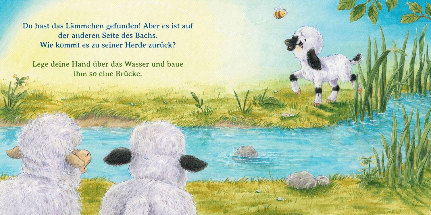 Bild: 9783414826763 | Einmal ganz doll knuddeln | Sophie Schoenwald | Buch | 26 S. | Deutsch