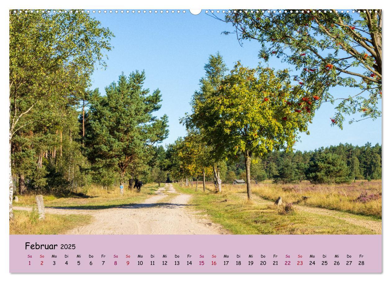 Bild: 9783435024810 | Lüneburger Heide Wege (hochwertiger Premium Wandkalender 2025 DIN...