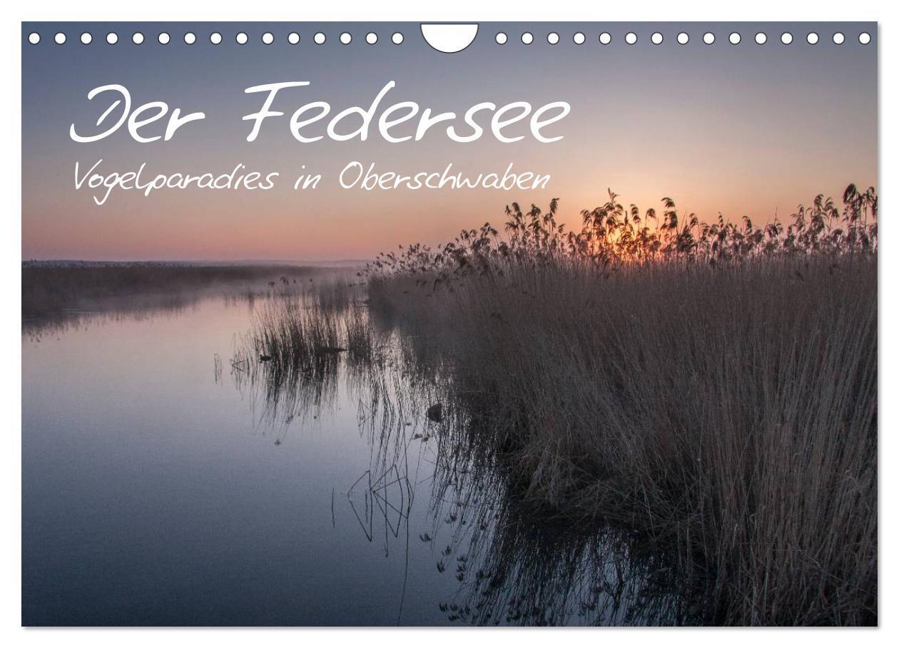 Cover: 9783435517169 | Der Federsee - Vogelparadies in Oberschwaben (Wandkalender 2025 DIN...