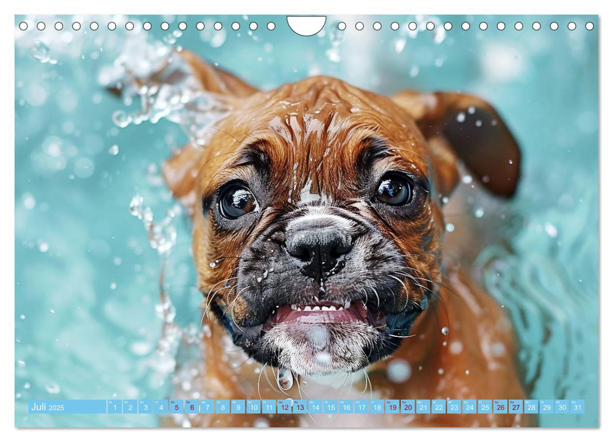 Bild: 9783457129227 | Hunde und Wasser (Wandkalender 2025 DIN A4 quer), CALVENDO...