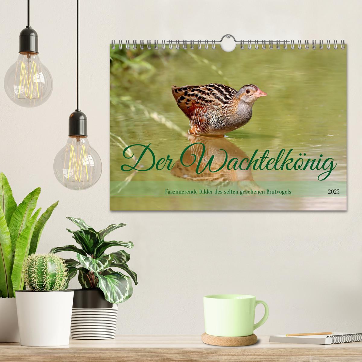 Bild: 9783383844591 | Der Wachtelkönig (Wandkalender 2025 DIN A4 quer), CALVENDO...