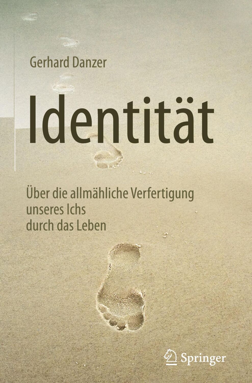 Cover: 9783662532201 | Identität | Gerhard Danzer | Buch | HC runder Rücken kaschiert | xii