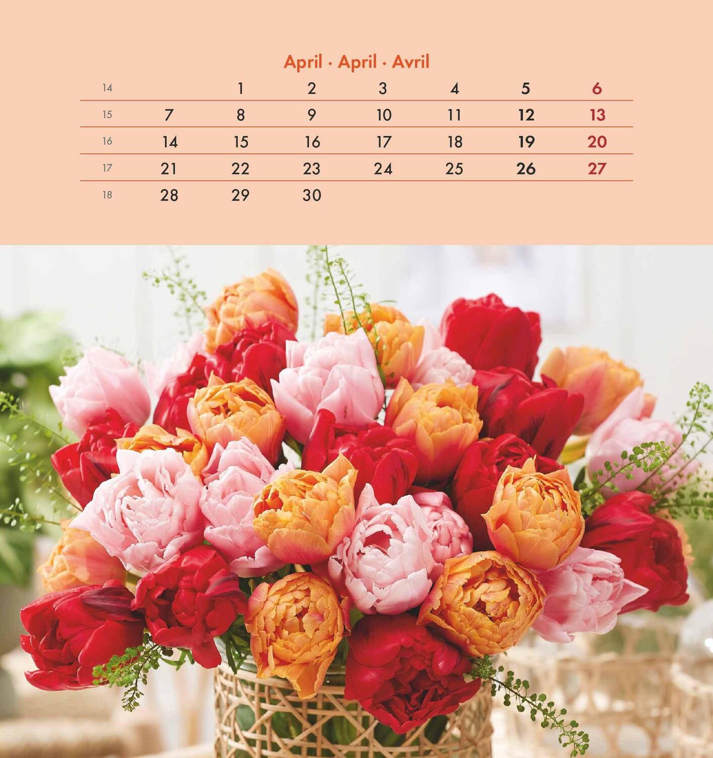 Bild: 4251732342289 | Blumengrüße 2025 - Postkartenkalender 16x17 cm - Blumen - zum...