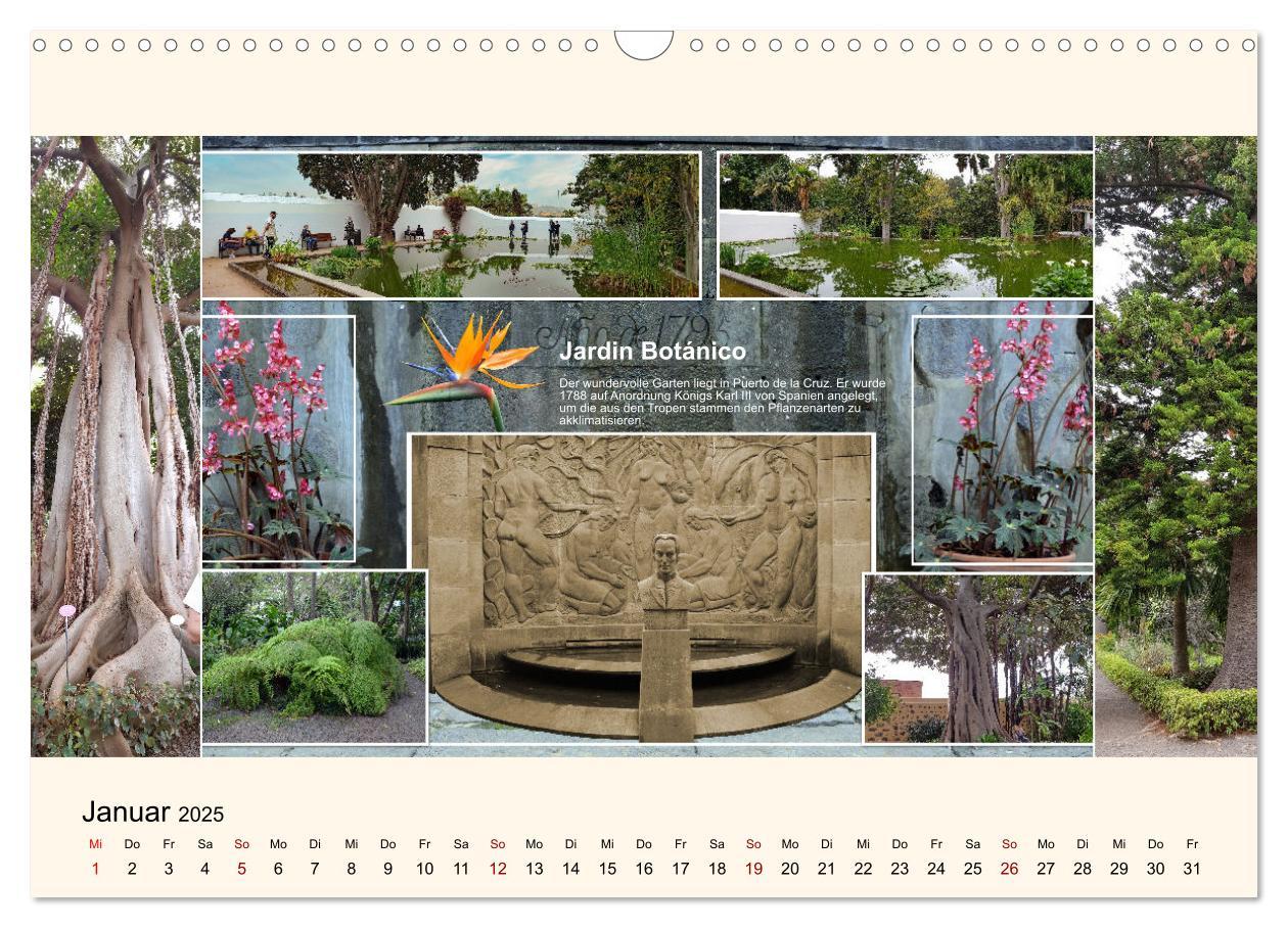 Bild: 9783435006007 | Zauberhaftes Teneriffa (Wandkalender 2025 DIN A3 quer), CALVENDO...