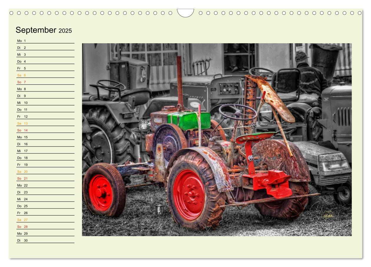 Bild: 9783435586202 | Traktoren - Oldtimer (Wandkalender 2025 DIN A3 quer), CALVENDO...