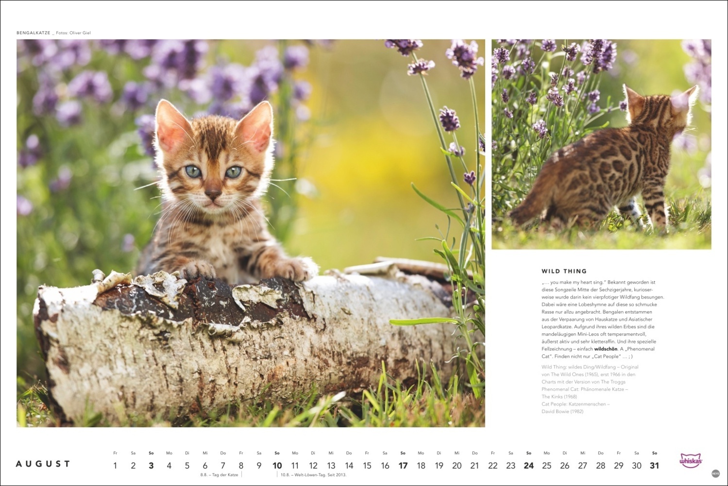 Bild: 9783756404971 | Whiskas Katzenkalender 2025 | Kalender | Spiralbindung | 14 S. | 2025