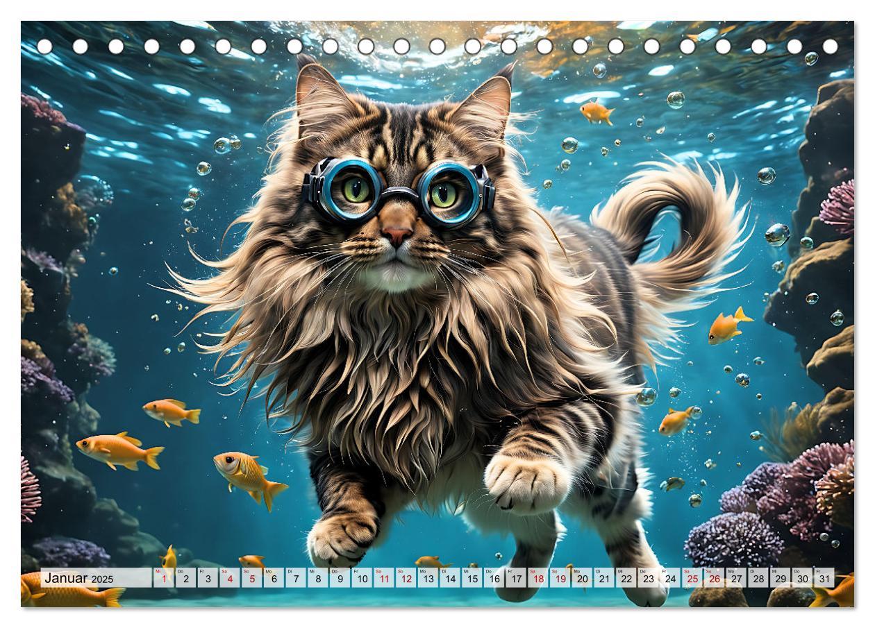 Bild: 9783383843945 | Katzen unter Wasser (Tischkalender 2025 DIN A5 quer), CALVENDO...