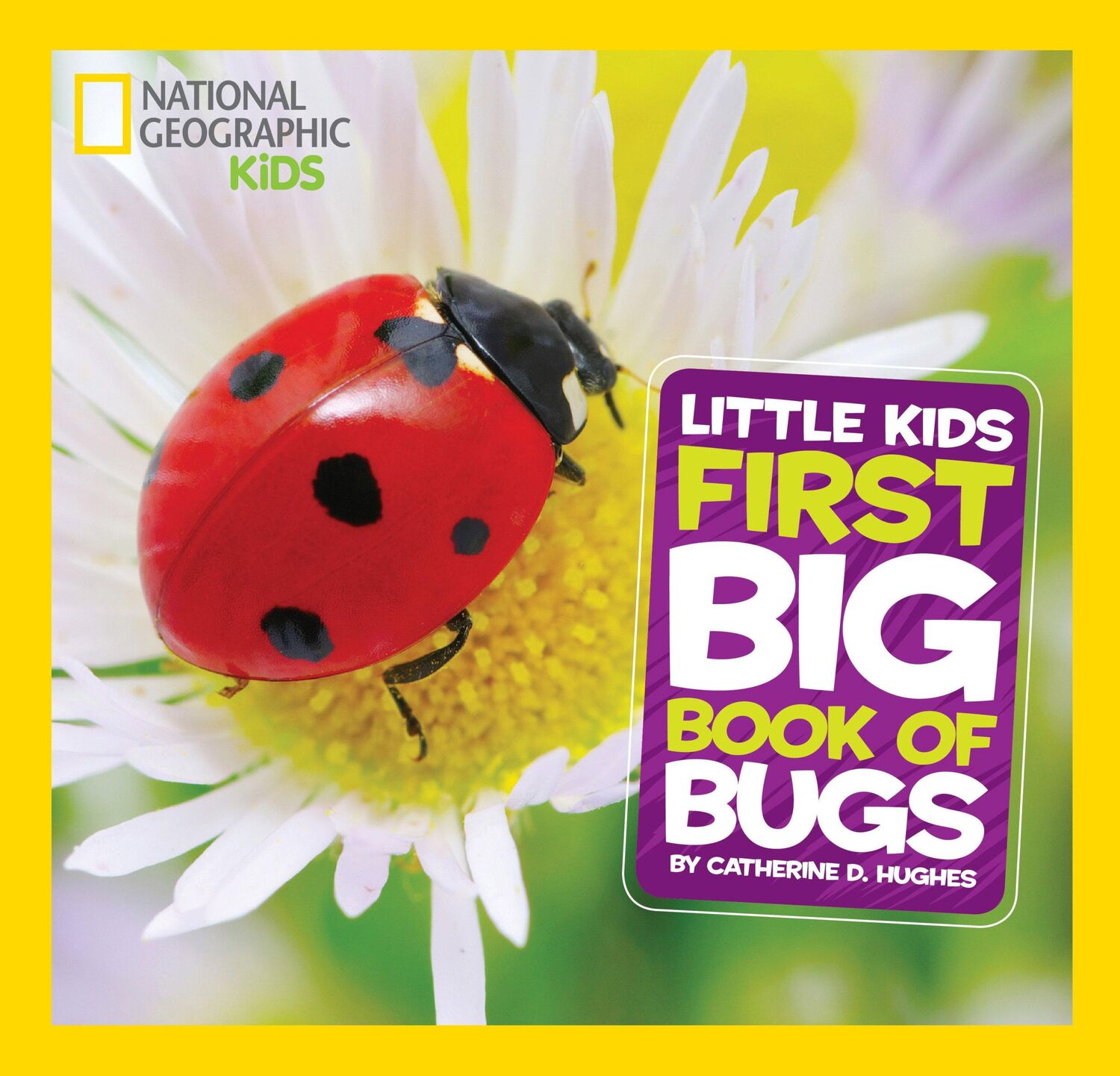 Cover: 9781426317231 | Little Kids First Big Book of Bugs | Catherine D Hughes | Buch | 2014