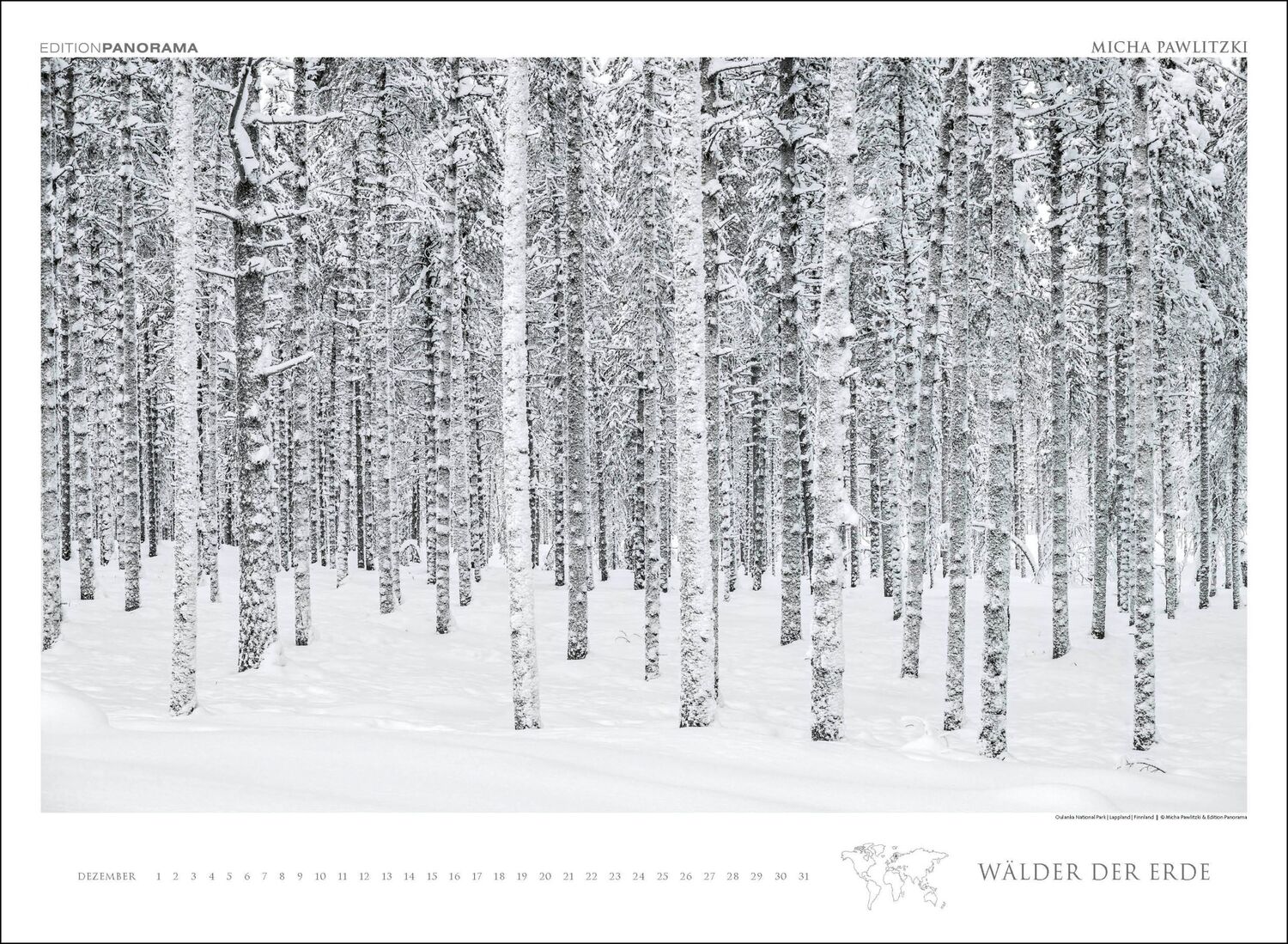 Bild: 9783898236218 | WÄLDER DER ERDE | Micha Pawlitzki | Kalender | XIII | Deutsch | 2024