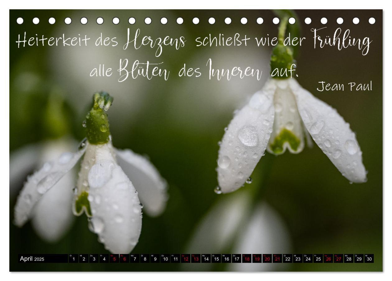 Bild: 9783435029907 | Bilder und Texte für die Seele (Tischkalender 2025 DIN A5 quer),...