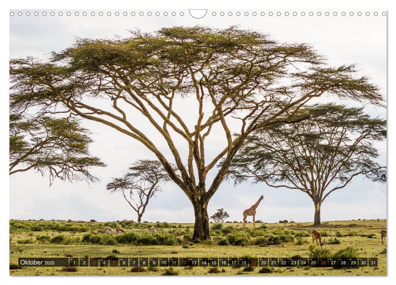 Bild: 9783435759897 | Kenia 2025 (Wandkalender 2025 DIN A3 quer), CALVENDO Monatskalender